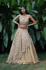 Resham Work Ghagra124 video